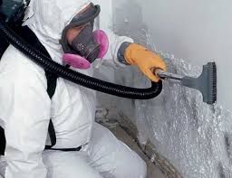 Reliable Taft, TX Mold Removal Services Solutions